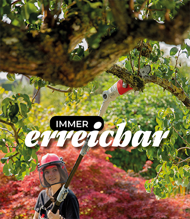 eine Frau mit rotem Helm sägt mit einer Ikra Astsäge eine Ast an einem hohen Baum